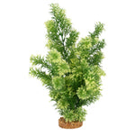 Voir l’image dans la galerie, FLUVAL Plante Hottonie à Pointes Blanches 14" pour Aquarium