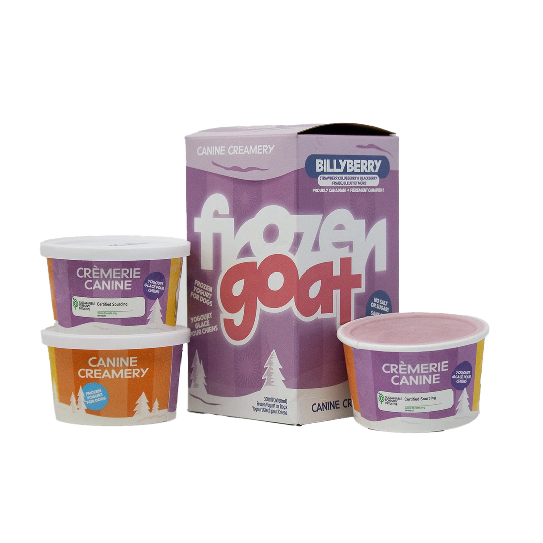 Big Country Raw - Yogourt Glacé au Lait de Chèvre, Billyberry - Supplément Congelé pour Chiens