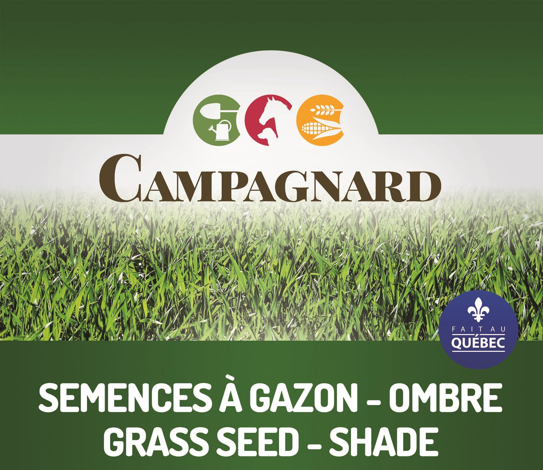 MONDOU Campagnard - Mélange à Gazon Ombre 1kg