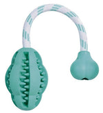 Voir l’image dans la galerie, *TRIXIE Jouet Chien DentaFun Balle Rebondissante 28cm