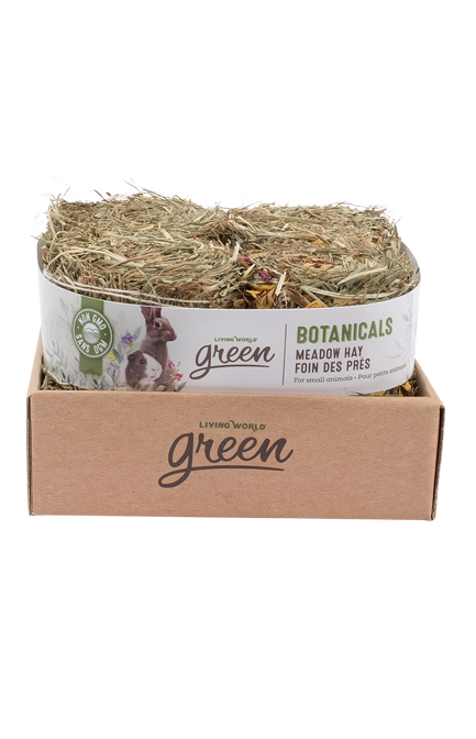 Living World Green - Foin des Prés Botanicals aux Fleurs - Foin pour Rongeurs