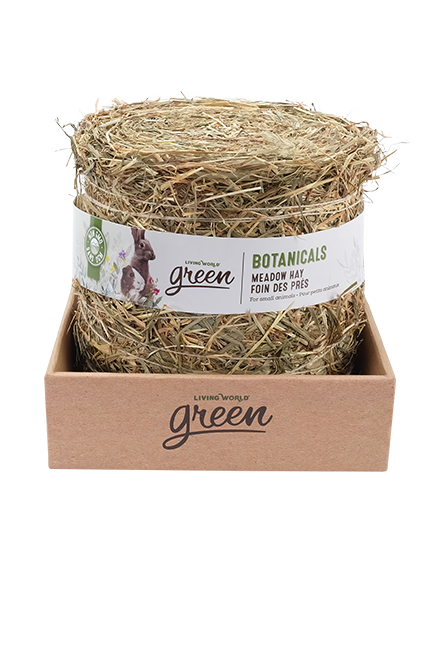Living World Green - Foin des Prés Botanicals Naturel - Foin pour Rongeurs