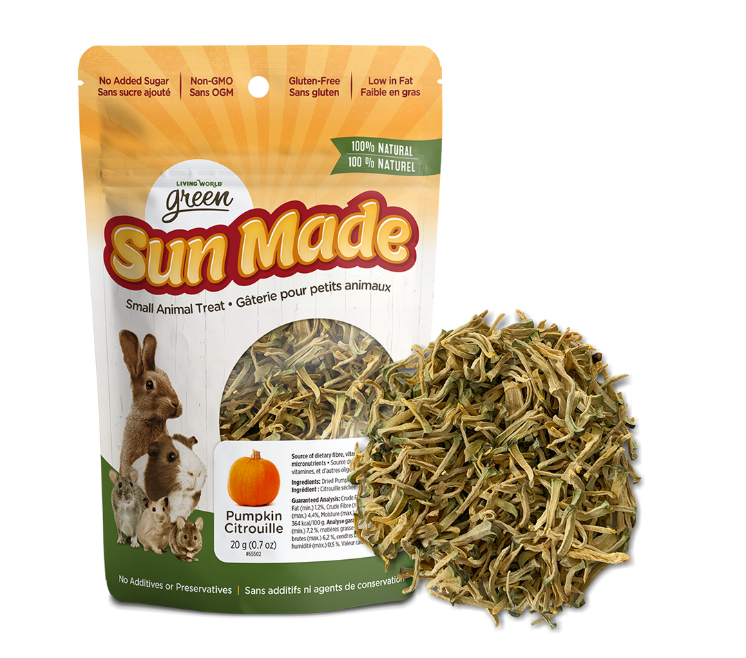 *LW GREEN Gâteries Rongeur Sun Made Citrouille 20g