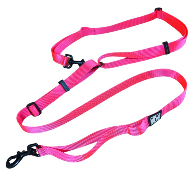 CHIEN BLANC Laisse Multi-Snaphook Rose