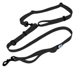 Voir l’image dans la galerie, CHIEN BLANC Laisse Multi-Snaphook Noir
