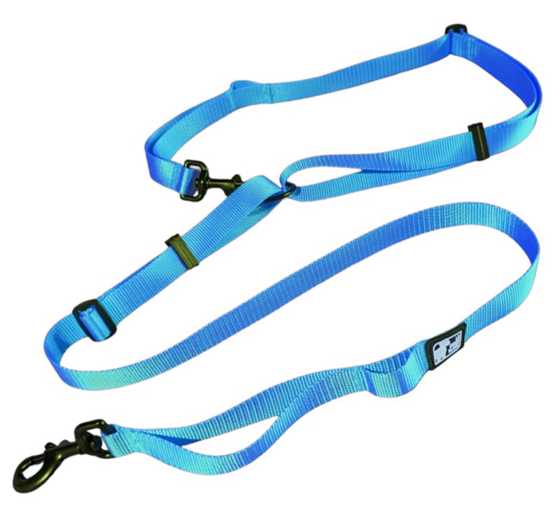 CHIEN BLANC Laisse Multi-Snaphook Bleu