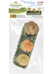 LW Jouet Parcelle de Champignons Multicolore 170g