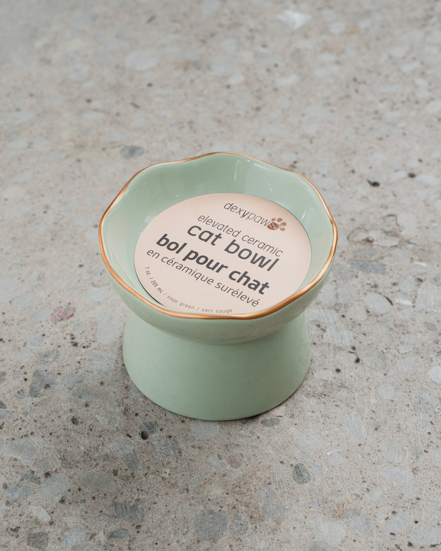DEXYPAWS Chat Bol Surélevé 7.75oz Vert Sauge