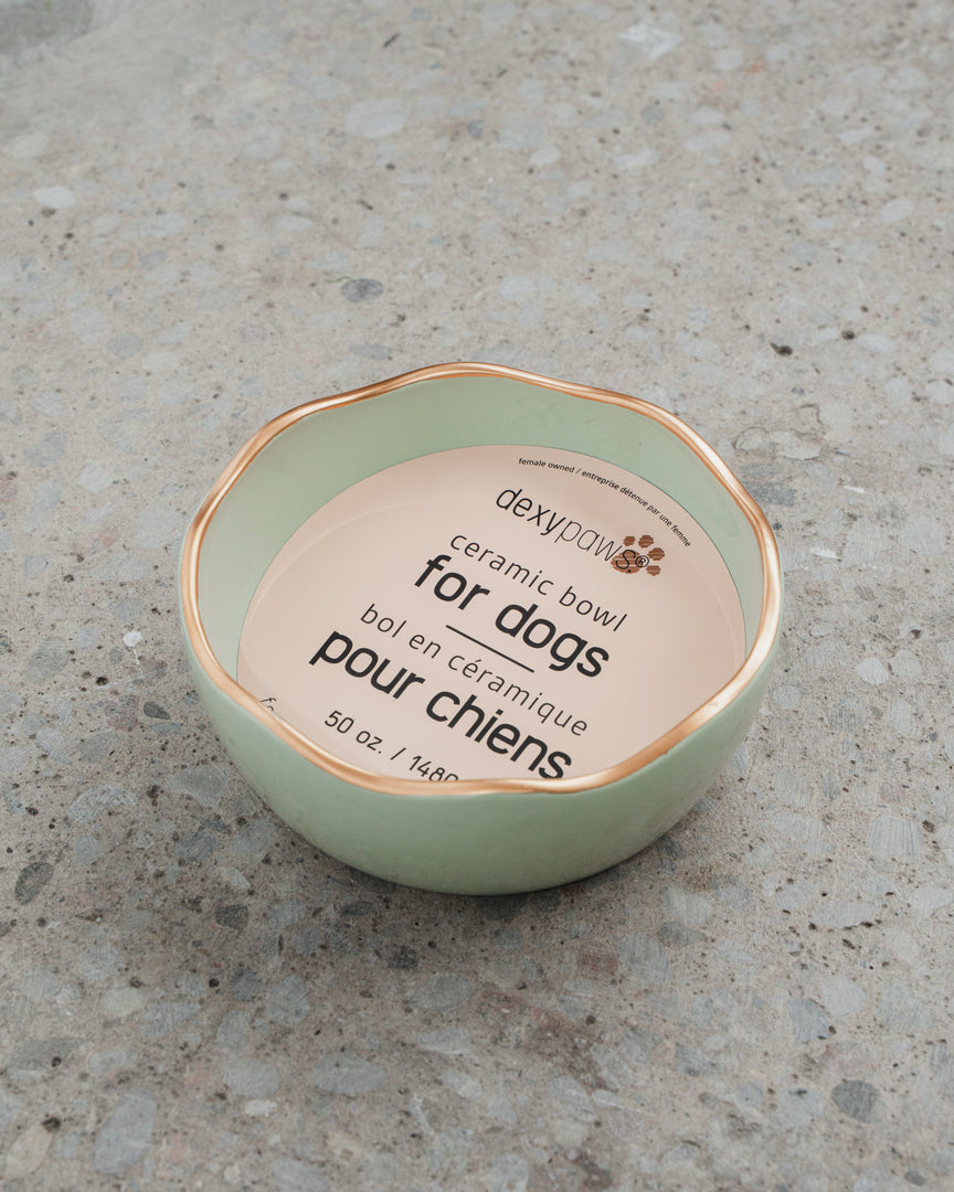 DEXYPAWS Bol Céramique 50oz Vert Sauge