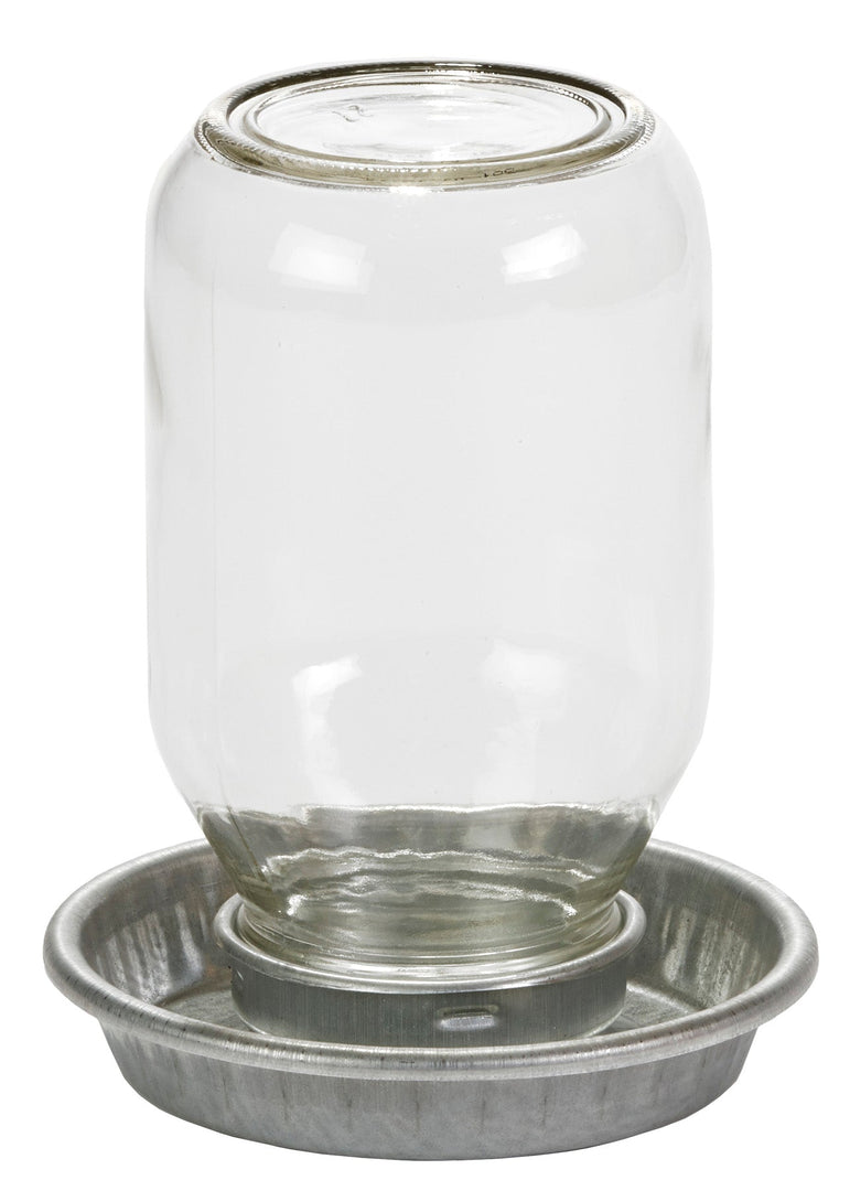 Miller - Abreuvoir avec Pot Mason en Verre - Abreuvoir pour Volailles