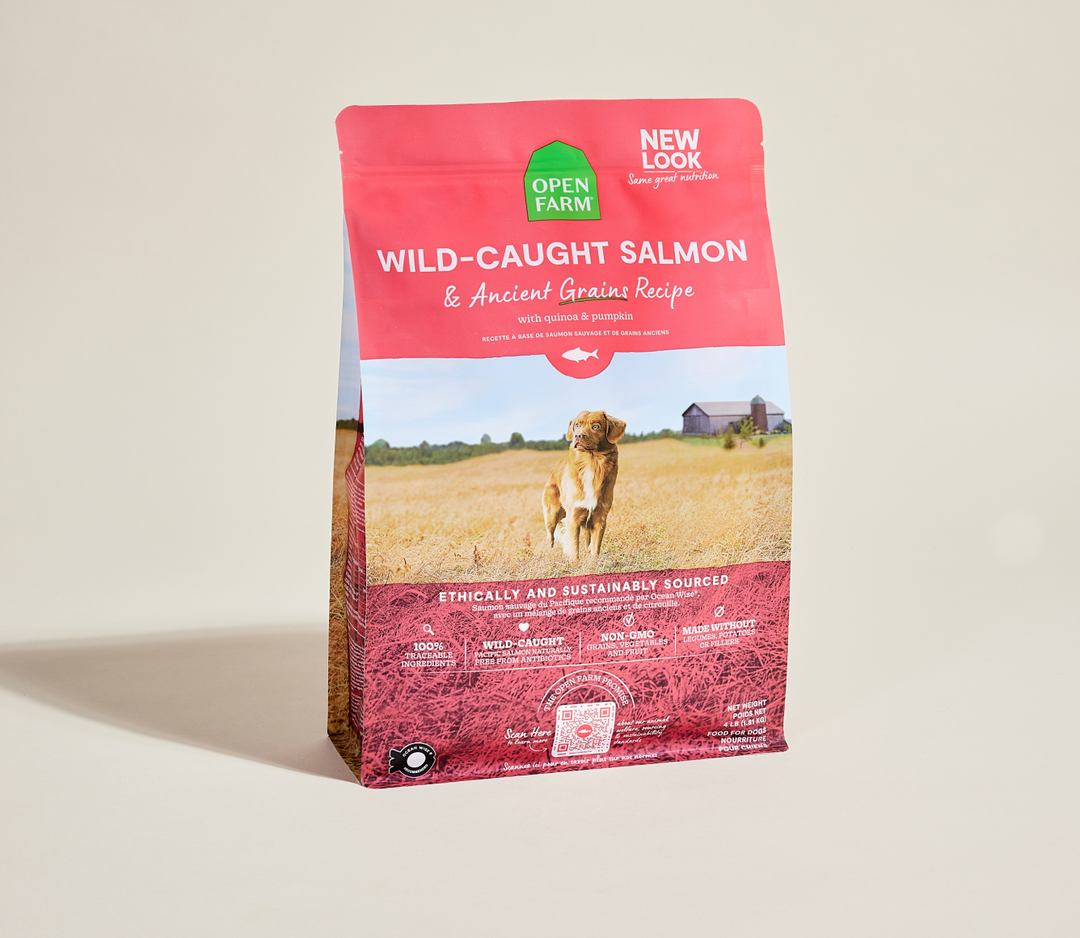 Open Farm - Chien Saumon Sauvage et Grains Anciens - Nourriture Sèche pour Chiens