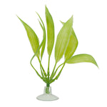 Voir l’image dans la galerie, MARINA Betta Plante-Épée Amazone avec Ventouse 12.4cm