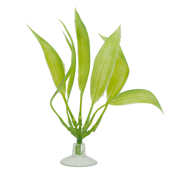 MARINA Betta Plante-Épée Amazone avec Ventouse 12.4cm