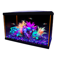 MARINA iGlo Aquarium Équipé 10G