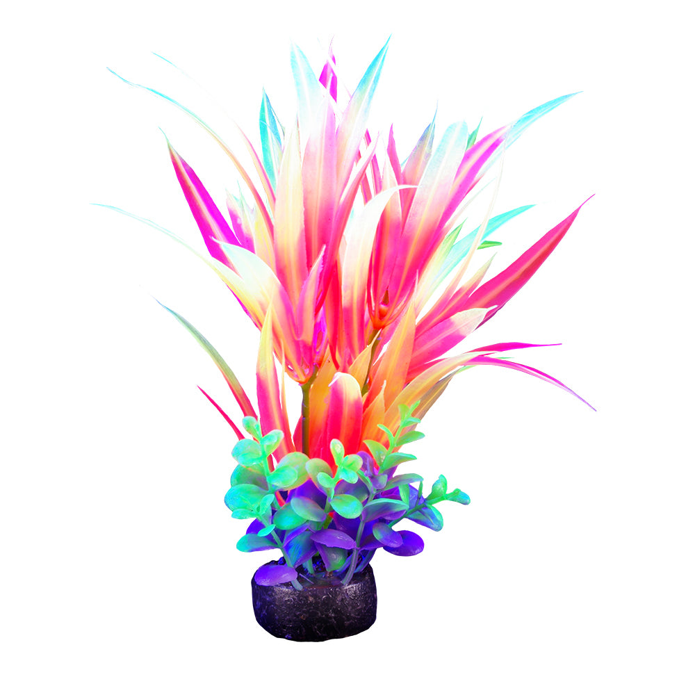 MARINA iGlo Plantes 5.5" PP1001 pour Aquarium