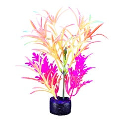 *MARINA iGlo Plantes 7.5" PP1013 pour Aquarium