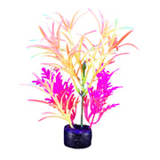 *MARINA iGlo Plantes 7.5