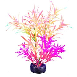 *MARINA iGlo Plantes 5.5" PP1014 pour Aquarium