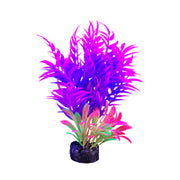 *MARINA iGlo Plantes 5.5