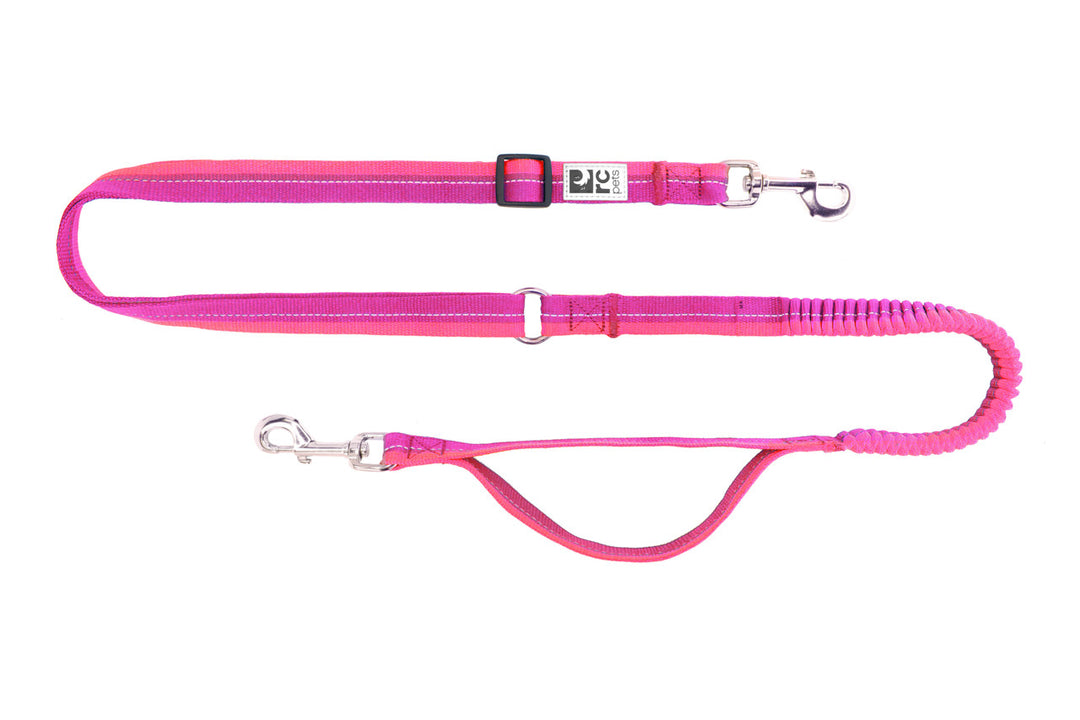 RCP Laisse Élastique Active 1x78" Mûre/Azalée