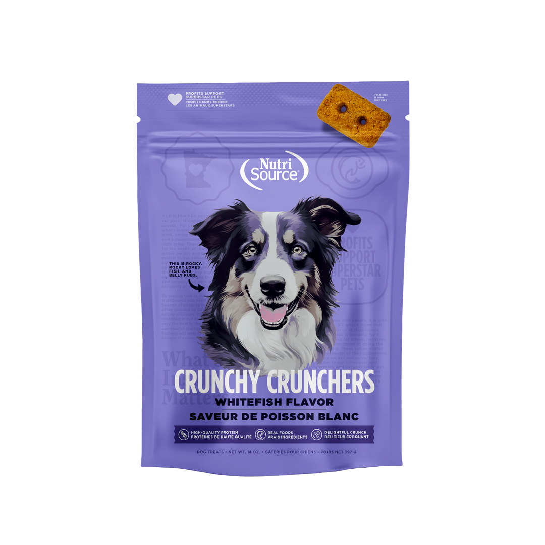 NutriSource Crunchy Crunchers - Saveur de Poisson Blanc - Biscuits Sans Grains pour Chiens