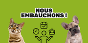 https://www.pattesgriffes.com/pages/carriere