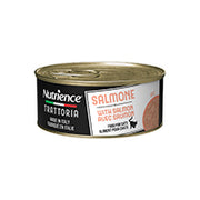 Nutrience Trattoria - Chat Pâté de Saumon - Nourriture Humide Sans Grains pour Chats