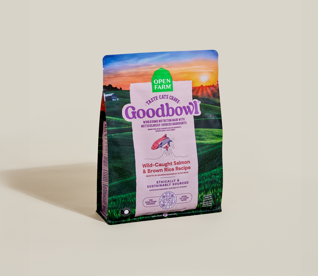 Open Farm GoodBowl - Chat Saumon Sauvage et Riz Brun - Nourriture Sèche pour Chats