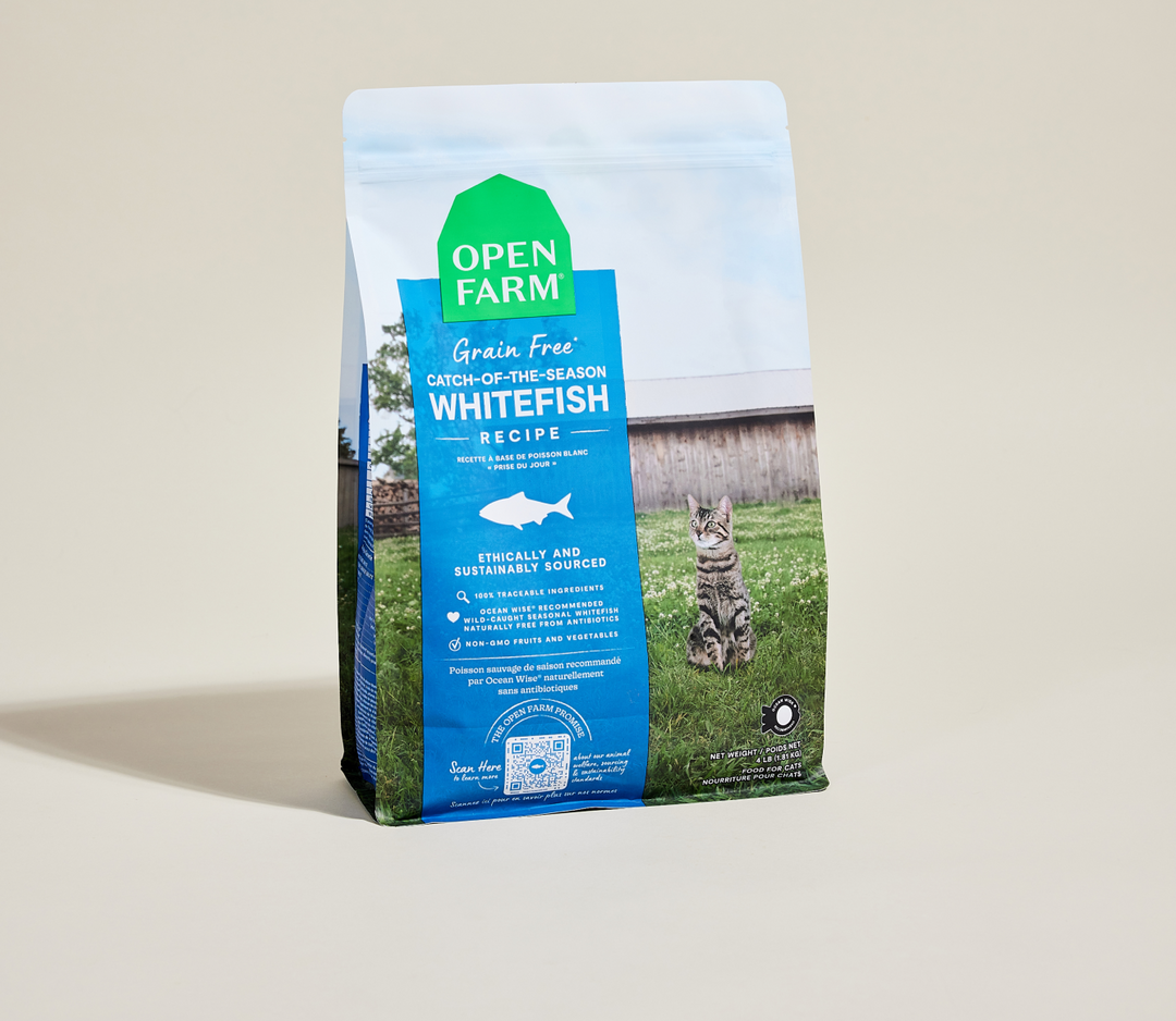 Open Farm - Poisson Blanc (Prise du Jour) - Nourriture Sèche Sans Grains pour Chats