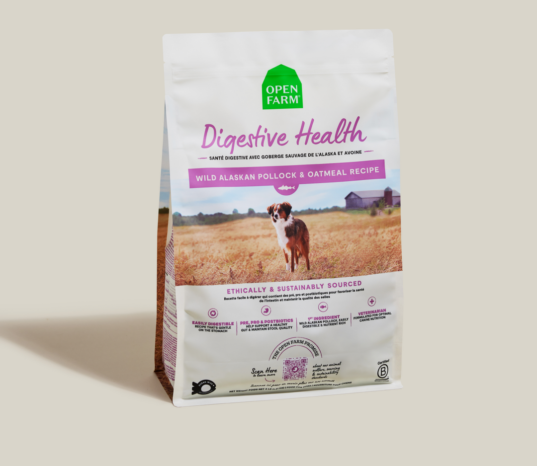 Open Farm Functional - Santé Digestive, Goberge Sauvage de l'Alaska et Avoine - Nourriture Sèche pour Chiens