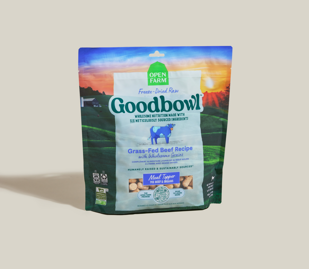 Open Farm GoodBowl - Chien Boeuf Nourri à l'Herbe et Grains Entiers - Nourriture Sèche Lyophilisée pour Chiens