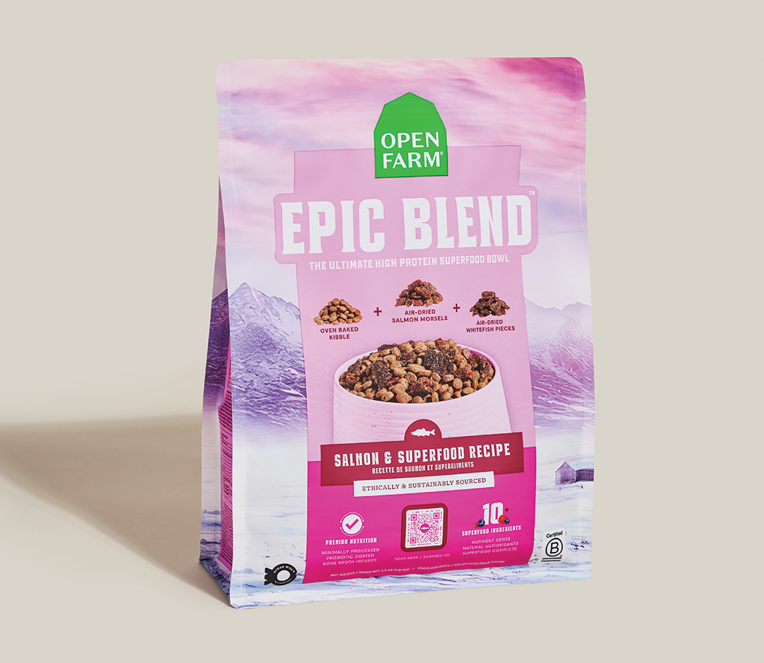 Open Farm Epic Blend - Saumon et Superaliments - Nourriture Sèche pour Chiens