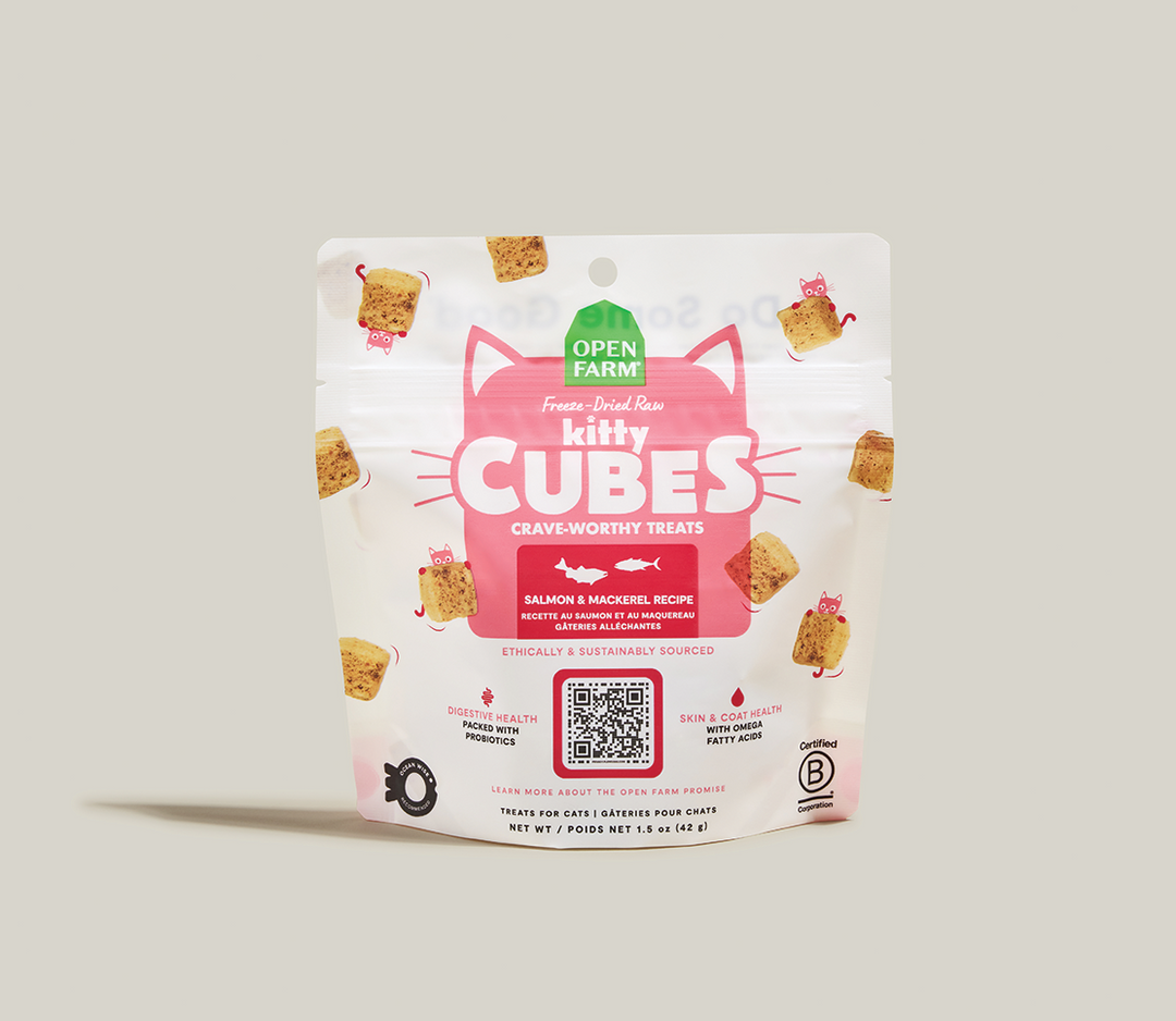 Open Farm Kitty Cubes - Saumon et Maquereau - Gâteries Lyophilisées pour Chats
