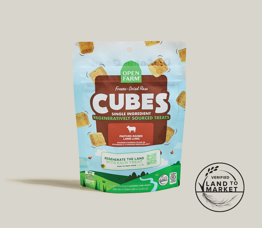 Open Farm Cubes - Poumon d'Agneau Élevé au Pâturage - Gâteries Lyophilisées en Cubes pour Chiens