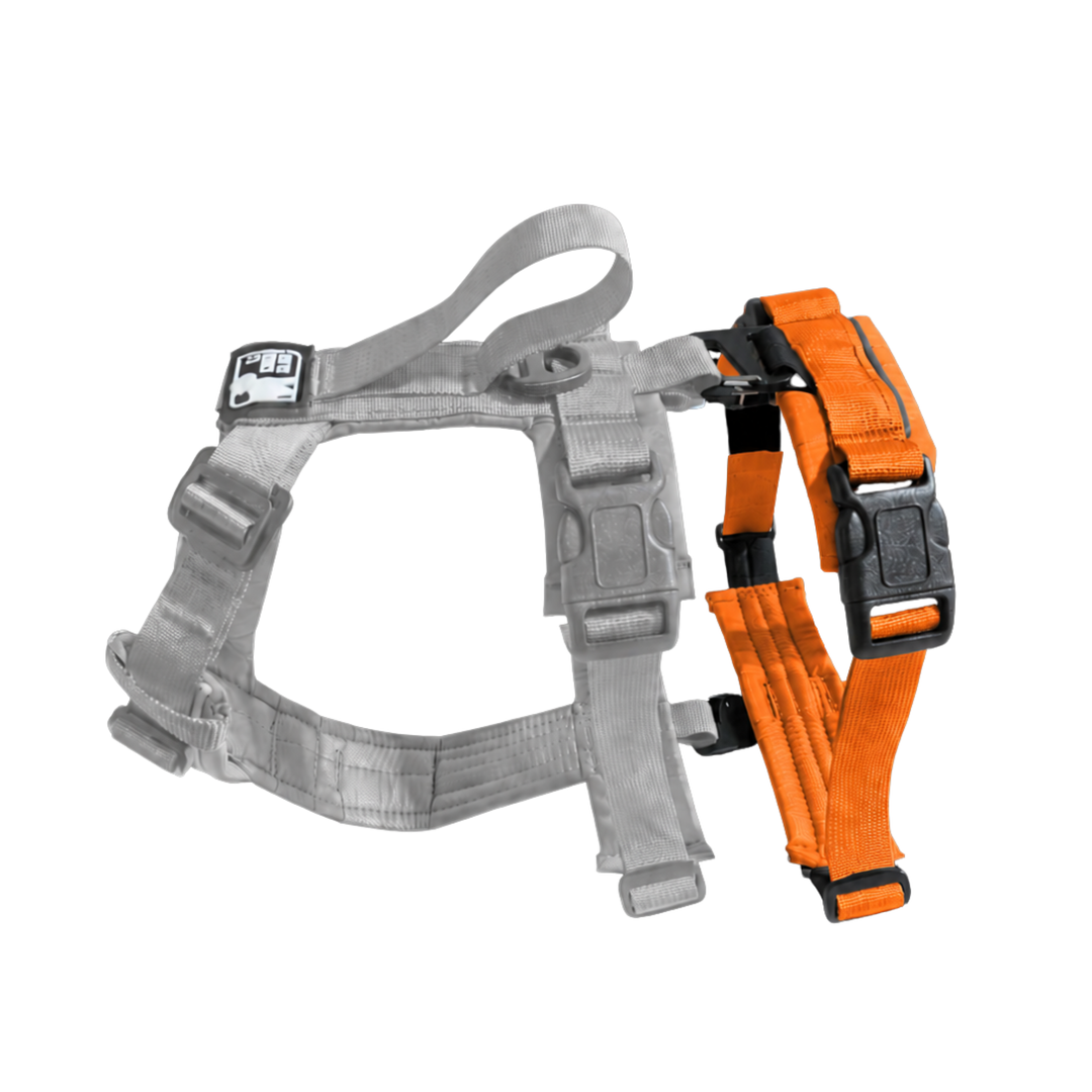 CHIEN BLANC HORIZON Rallonge Amovible Harnais Orange S