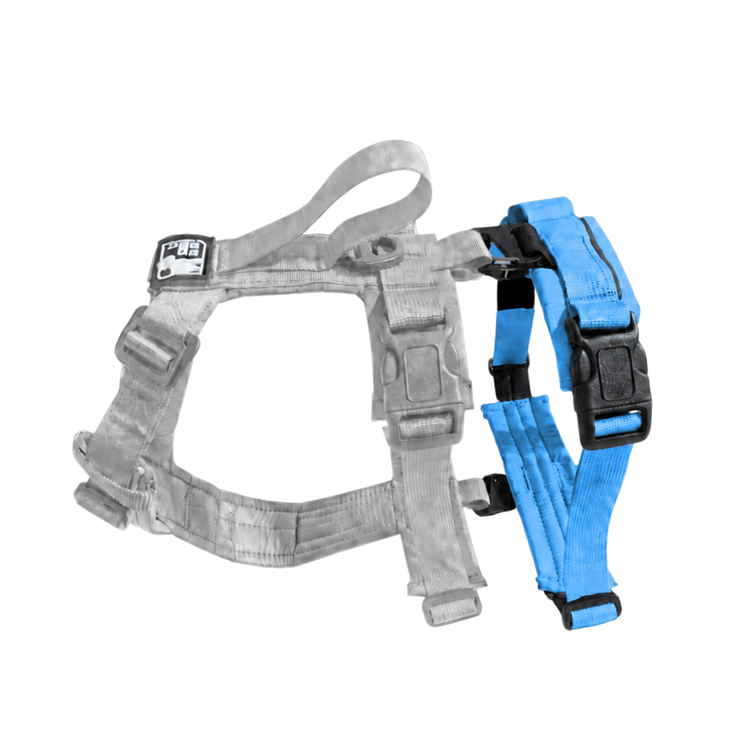 CHIEN BLANC HORIZON Rallonge Amovible Harnais Bleu XL