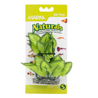*MARINA Plante Feuilles Larges Vertes 5-6" pour Aquarium