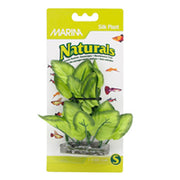 *MARINA Plante Feuilles Larges Vertes 5-6