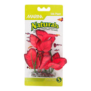 *MARINA Plante Feuilles Larges Rouges 5-6