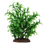 Voir l’image dans la galerie, FLUVAL Plante Grand Bacopa 8" pour Aquarium