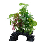 Voir l’image dans la galerie, FLUVAL Plante Lysimaque Verte 8" pour Aquarium