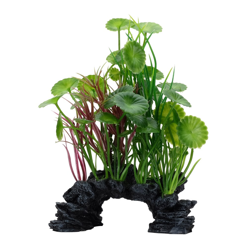 FLUVAL Plante Lysimaque Verte 8" pour Aquarium