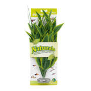 *MARINA Plante Dracéna Verte 13-14