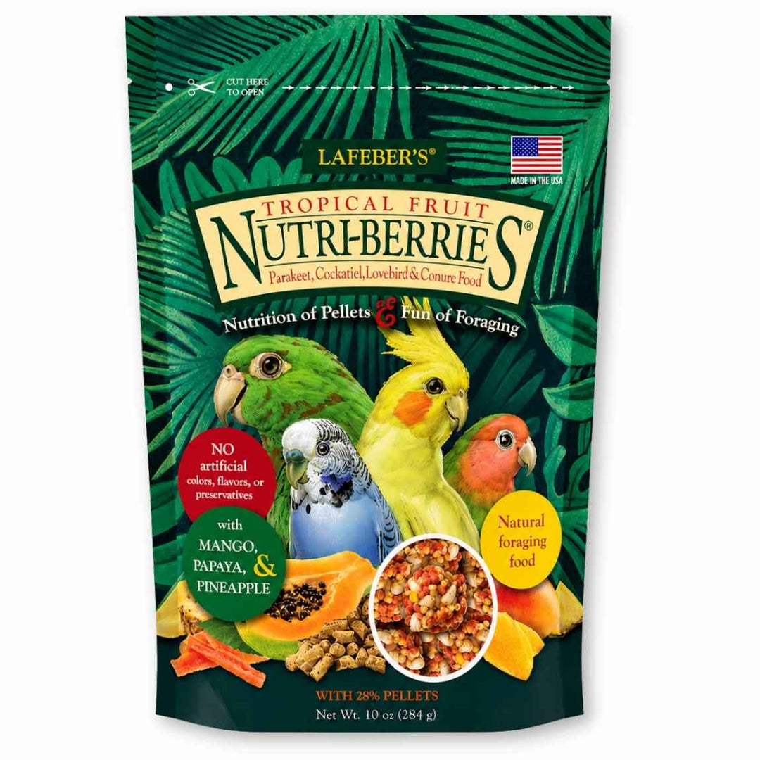LAFEBER'S Gâteries Cockatiels Tropical Fruit Nutri-Berries 10oz