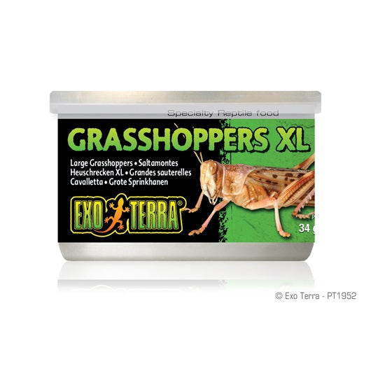 Exo Terra - Sauterelles en Conserve - Nourriture pour Reptiles