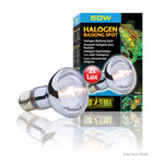 Voir l’image dans la galerie, EXO TERRA Ampoule Halogène 50W pour Reptiles
