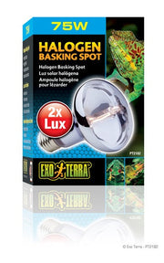 *EXO TERRA Ampoule Halogène 75W pour Reptiles