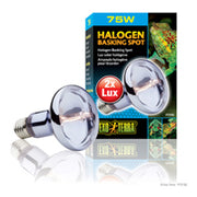 *EXO TERRA Ampoule Halogène 75W pour Reptiles