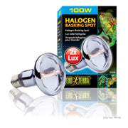 *EXO TERRA Ampoule Halogène 100W pour Reptiles