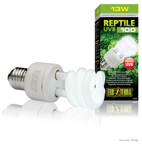 EXO TERRA Ampoule 13W Fluocompacte UVB100 pour Reptiles